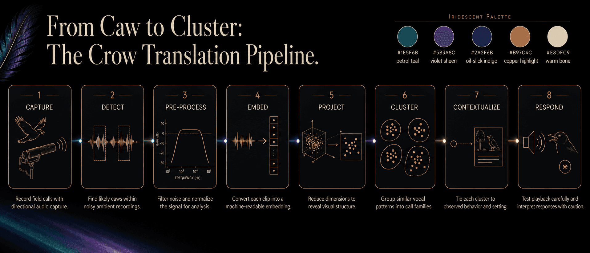 Horizontal eight-stage editorial infographic of the crow translation pipeline from capture through respond.