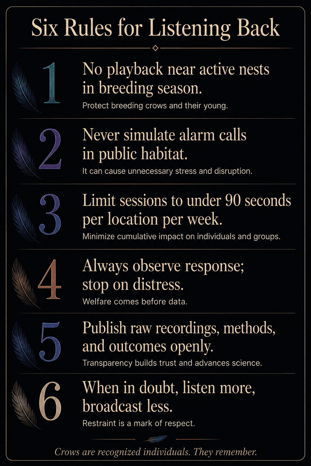 Vertical editorial card titled Six Rules for Listening Back with six numbered ethical rules for crow playback.